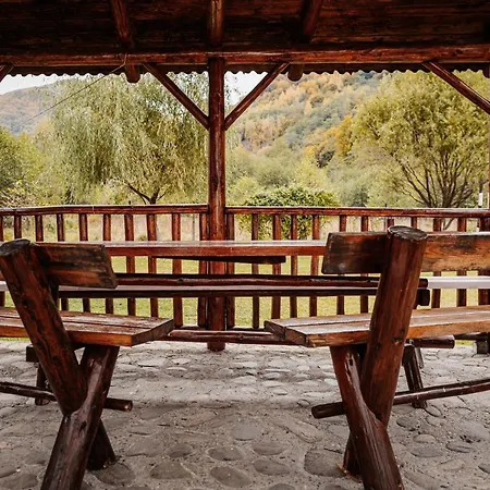 Гостевой дом Casa Ardeleana Lotrioara